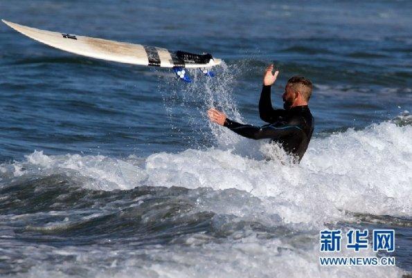 动物帮帮忙保卫家园
